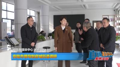 【直通县市区】安陆市领导到府城街道调研