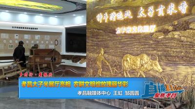 【直通县市区】乡村行·看振兴丨 孝昌太子米展厅亮相 农耕文明绽放瑰丽华彩
