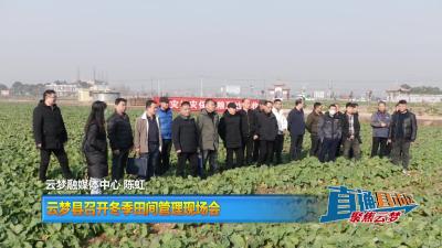 【直通县市区】云梦县召开冬季田间管理现场会