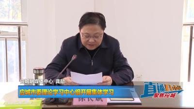 【直通县市区】应城市委理论学习中心组开展集体学习