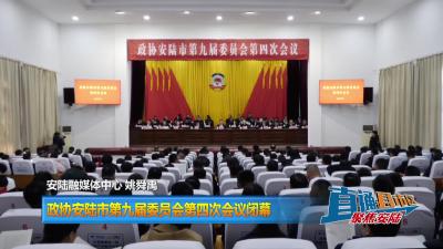 【直通县市区】政协安陆市第九届委员会第四次会议闭幕