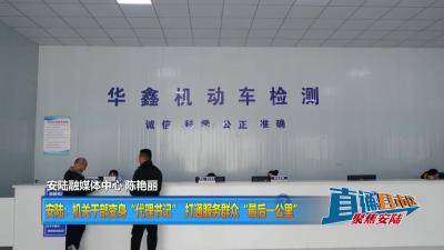 【直通县市区】安陆：机关干部变身“代理书记” 打通服务群众“最后一公里”