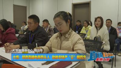 【直通县市区】大悟：培育直播电商带头人 助推农特产“云”销四方