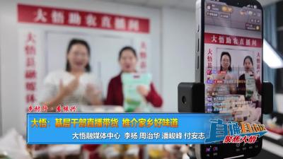 【直通县市区】乡村行·看振兴|大悟：基层干部直播带货 推介家乡好味道