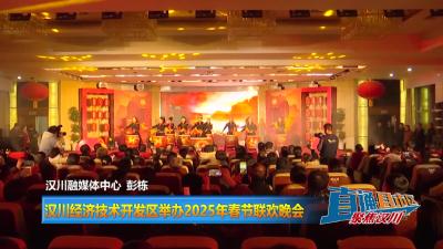 【直通县市区】汉川经济技术开发区举办2025年春节联欢晚会