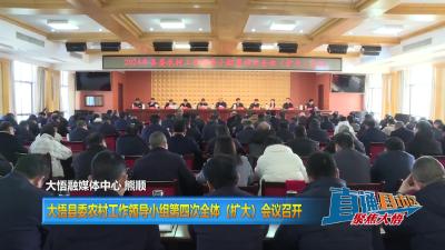 【直通县市区】大悟县委农村工作领导小组第四次全体（扩大）会议召开