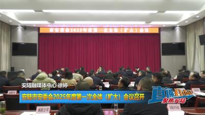 【直通县市区】安陆市安委会2025年度第一次全体（扩大）会议召开