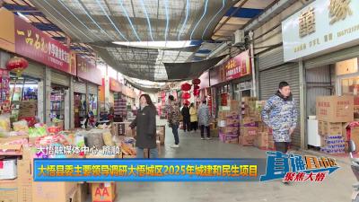 【直通县市区】大悟县委主要领导调研大悟城区2025年城建和民生项目
