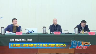 【直通县市区】大悟县委主要领导研究2025年重点项目谋划工作