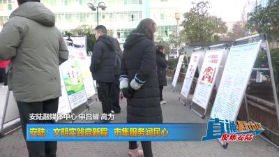 【直通县市区】安陆：文明实践启新程 市集服务润民心