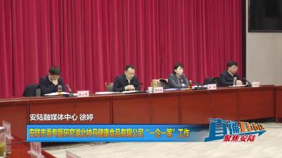 【直通县市区】安陆市委专题研究湖北神丹健康食品有限公司 “一企一策”工作