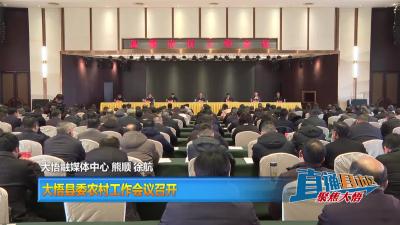 【直通县市区】大悟县委农村工作会议召开