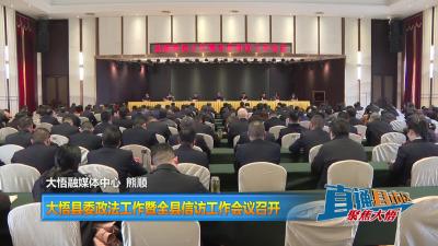 【直通县市区】大悟县委政法工作暨全县信访工作会议召开