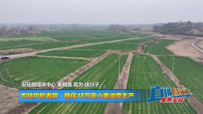 【直通县市区】农技护航春耕 确保48万亩小麦油菜丰产