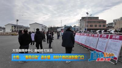 【直通县市区】大悟：“春风行动”进乡镇  800个岗位送到家门口
