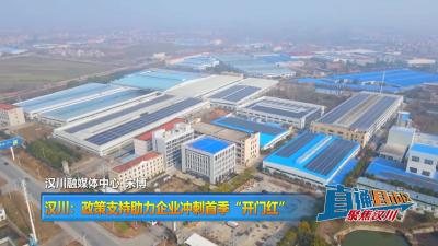 【直通县市区】汉川：政策支持助力企业冲刺首季“开门红”