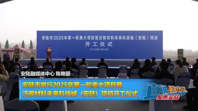 【直通县市区】安陆市举行2025年第一轮重大项目暨 泛碳材料未来科技城（安陆）项目开工仪式