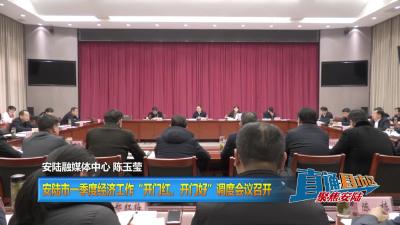 【直通县市区】安陆市一季度经济工作“开门红、开门好” 调度会议召开