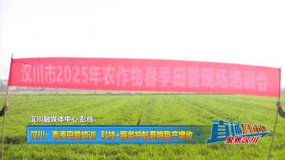 【直通县市区】汉川：春季田管培训 科技+服务护航夏粮稳产增收