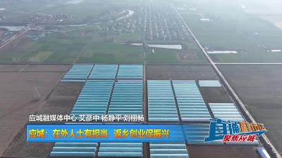 【直通县市区】应城：在外人士有担当 返乡创业促振兴