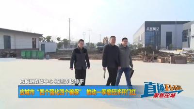 【直通县市区】应城：“五证同发” 促项目早建设早投产