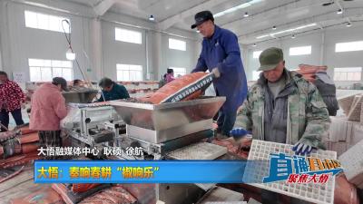 【直通县市区】大悟：奏响春耕“椒响乐”