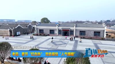 【直通县市区】孝昌：春节“红色热”  党史展馆“人气爆棚”