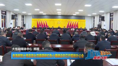 【直通县市区】余海群到大悟县宣化店镇调研红色小镇建设并召开现场办公会