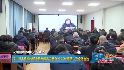 【直通县市区】汉川市组织收听收看孝感市安委会2025年度第一次全体会议
