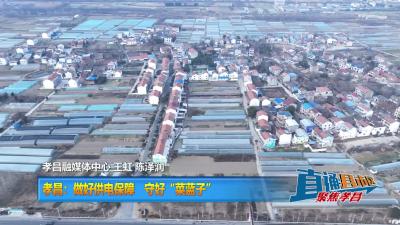 【直通县市区】孝昌：做好电力保障 守好“菜蓝子”