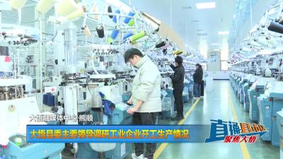【直通县市区】大悟县委主要领导调研工业企业开工生产情况