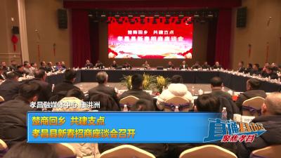 【直通县市区】楚商回乡 共建支点  孝昌县新春招商座谈会召开