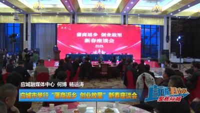 【直通县市区】应城市举行“蒲商返乡 创业故里”新春座谈会