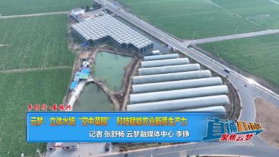 【直通县市区】乡村行·看振兴|云梦：立体水培“空中菜园”科技赋能农业新质生产力
