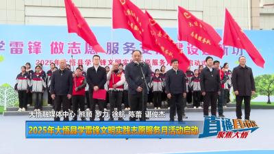 【直通县市区】2025年大悟县学雷锋文明实践志愿服务月活动启动