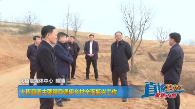 【直通县市区】大悟县委主要领导调研乡村全面振兴工作