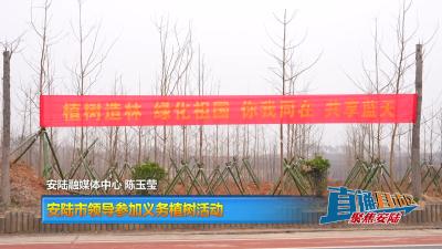【直通县市区】安陆市领导参加义务植树活动