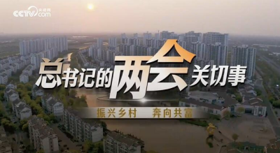 总书记的两会关切事｜振兴乡村 奔向共富