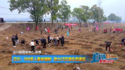 【直通县市区】汉川：200多人集体植树 助力汈汊湖生态建设