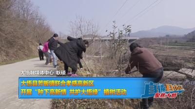 【直通县市区】大悟县芳畈镇联合孝感高新区开展“种下高新情 共护大悟绿”植树活动