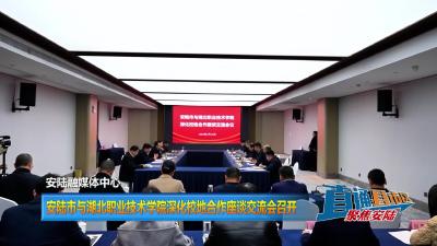 【直通县市区】安陆市与湖北职业技术学院深化校地合作座谈交流会召开