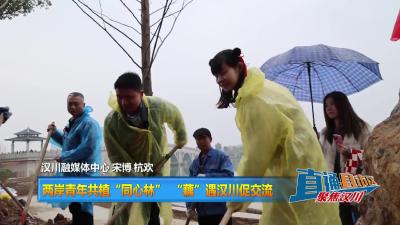 【直通县市区】两岸青年共植“同心林” “藕”遇汉川促交流
