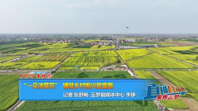 【直通县市区】乡村行•看振兴  “一朵油菜花”铺就乡村振兴致富路