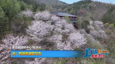 【直通县市区】走！到观音湖赏花去