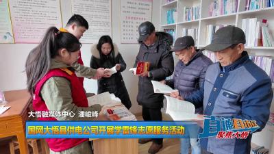 【直通县市区】国网大悟县供电公司开展学雷锋志愿服务活动