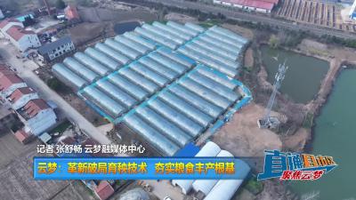 【直通县市区】云梦：革新破局育秧技术 夯实粮食丰产根基