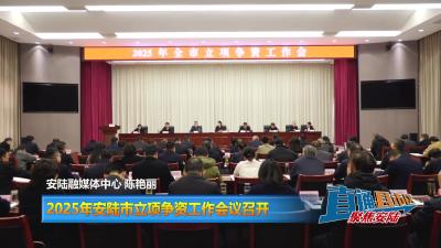 【直通县市区】2025年安陆市立项争资工作会议召开