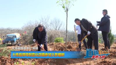 【直通县市区】大悟县领导到宣化店镇参加义务植树