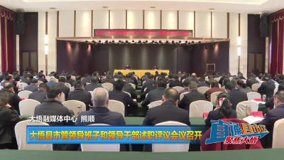 【直通县市区】大悟县市管领导班子和领导干部述职评议会议召开