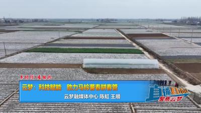 【直通县市区】乡村行•看振兴| 云梦：科技赋能助力马铃薯春耕春管